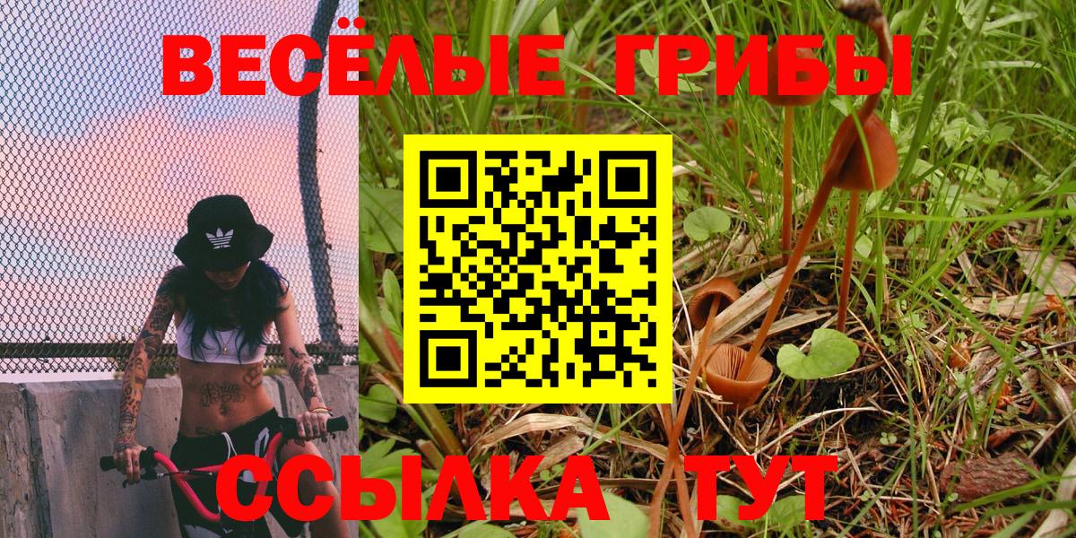 Псилоцибиновые грибы ЛСД Славянск-на-Кубани