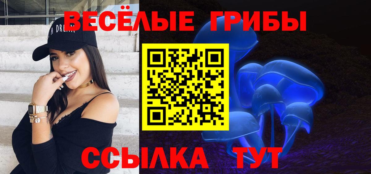 Славянск-на-Кубани  как найти   Вход с VPN  Псилоцибиновые грибы MAGIC MUSHROOMS 